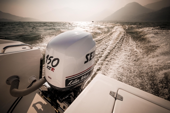 Elegance 29
