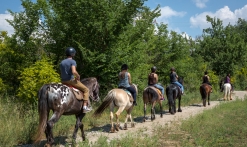 Balade à cheval Réserve de Fondurane