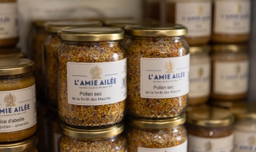 Les trésors de la ruche