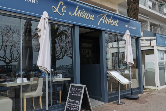 Le mérou ardent