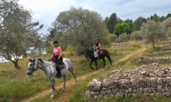 Balade détente à cheval/poney