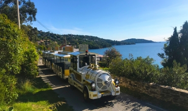 Journée Groupes Le Lavandou et Bormes Les mimosas, grain de sable et de mimosa