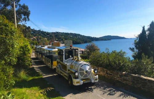 Journée Groupes Le Lavandou et Bormes Les mimosas, grain de sable et de mimosa