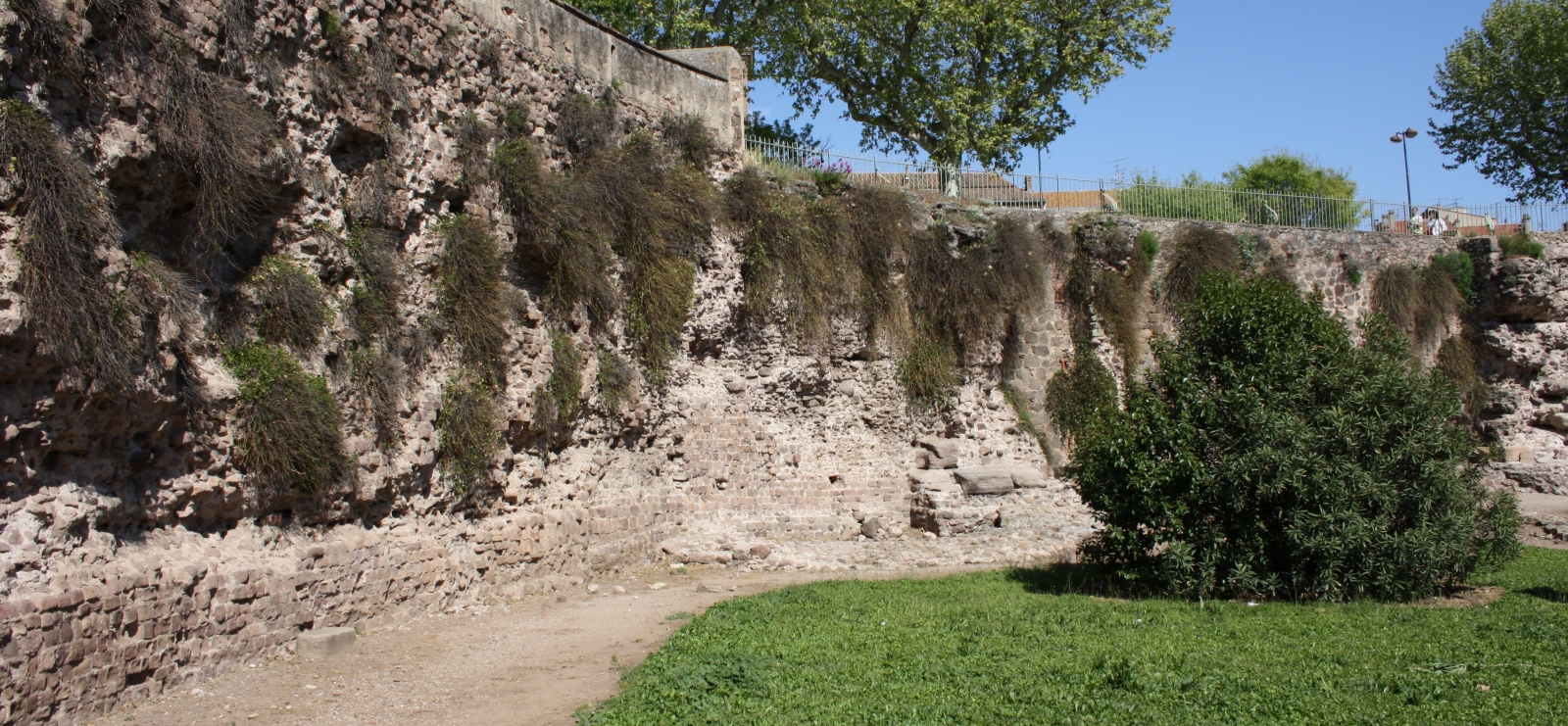 Visite guidée 'Forum Iulli, colonie romaine, la Pompéi provençale'