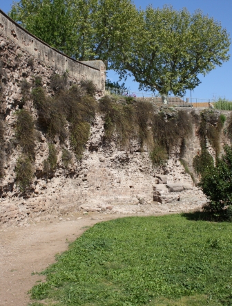 Visite guidée 'Forum Iulli, colonie romaine, la Pompéi provençale'