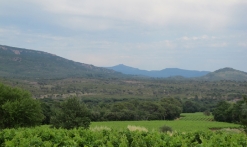 Domaine du Jas d'Esclans