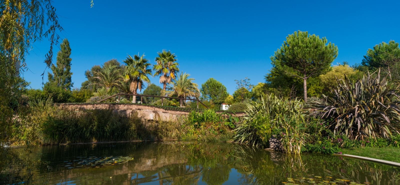 Jardin de l'Île Verte