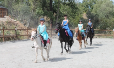 Haras des Villards: Séance d'initiation poney/cheval