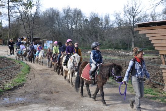 Balade à poney - à la main