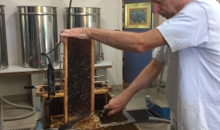 Famille Vial Mimosiste et Apiculteur