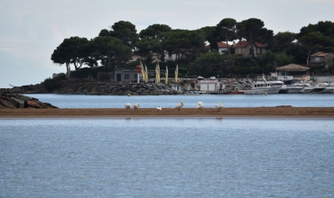 Plage de la Galiote