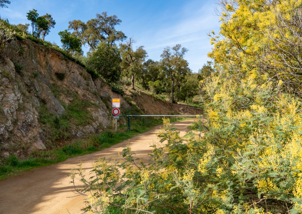 Randonnée Nature Le sentier du Mimosa Vallon de la Gaillarde