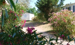 Camping Hautes Vernèdes