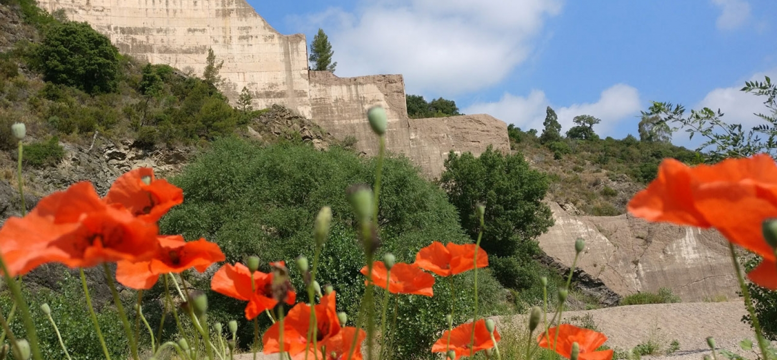 Barrage de Malpasset