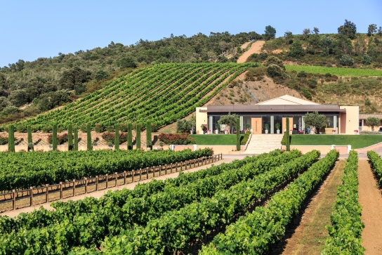 Château Vaudois - le domaine