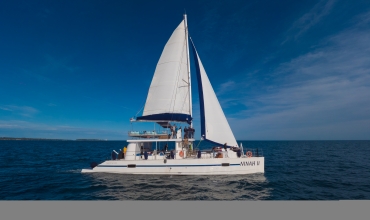 Sortie catamaran journée
