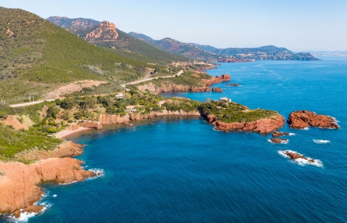L'hiver en Estérel Côte d'Azur, entre carnavals et mimosa