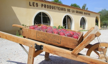 Cagette de pêches Grande bastide