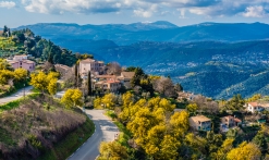 La Route du Mimosa