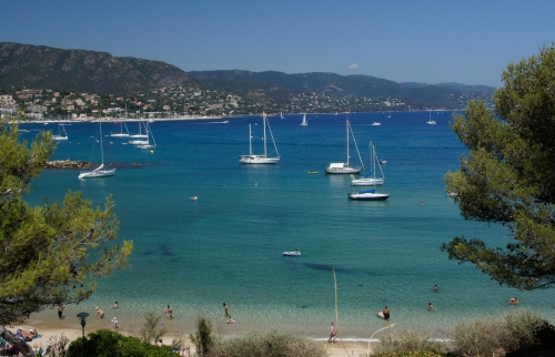 Journée Groupes Le Lavandou et Bormes Les mimosas, grain de sable et de mimosa