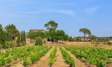 Château de Cabran