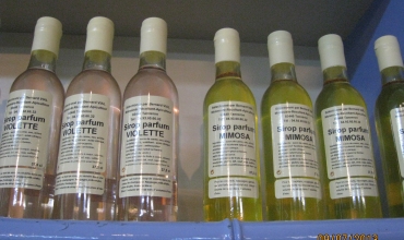 Famille Vial Mimosiste et Apiculteur