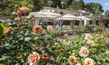 Au pied de la roseraie