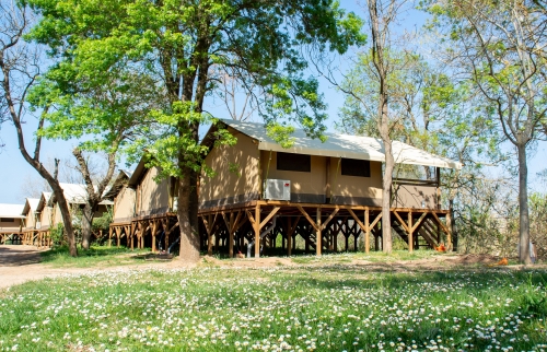 Tentes lodges Kenya