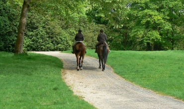 Ferrières forest