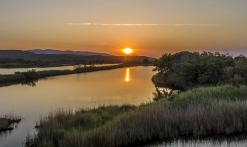 Etangs de villepey