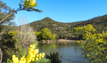 Randonnée : Tour des Lacs des Peguières