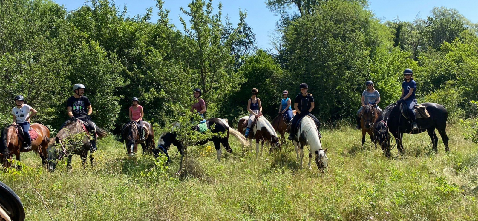 Les Poun's en Herbe