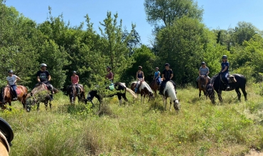 Les Poun's en Herbe