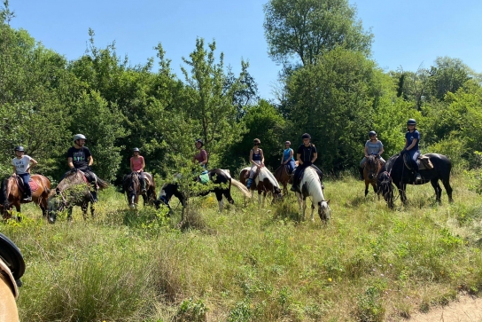 Les Poun's en Herbe