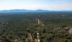 Randonnée - Sentier des Meulières