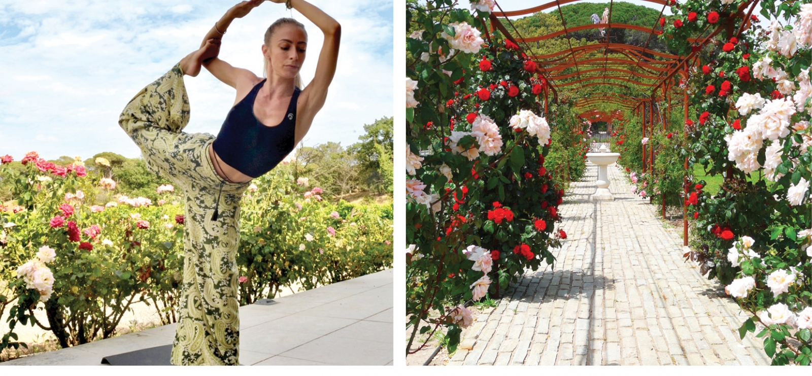 Visite Yoga au Clos des Roses