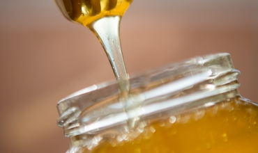 terroir miel
