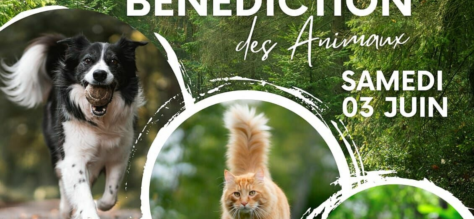 Randonnée - bénédiction des animaux