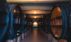 Domaine du Jas d'Esclans