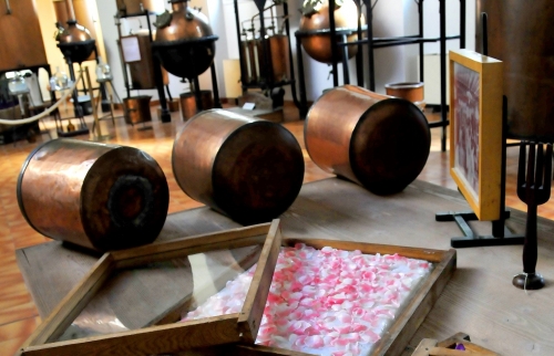 Groupes - Immersion au cœur des parfums Molinard