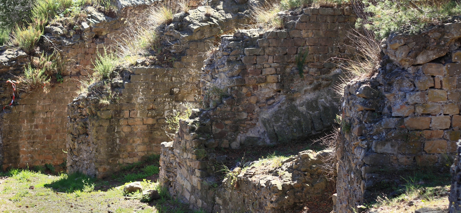 Visite guidée 'Forum Iulli, colonie romaine, la Pompéi provençale'