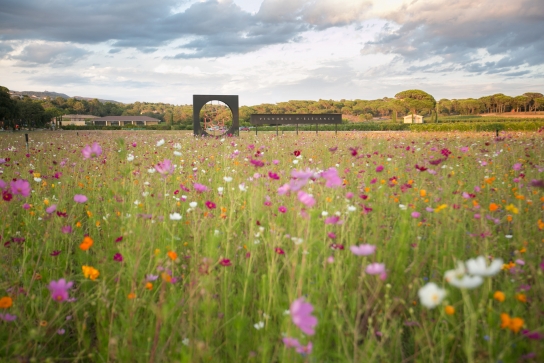 Domaine du Clos des roses