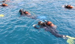 Baptême de plongée et initiation Basic Diver