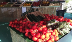 Marché du lac