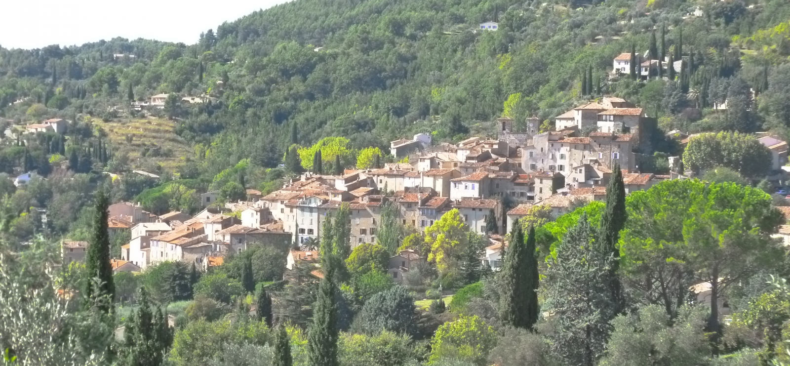 Vue Village