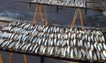Sardinade à Agay