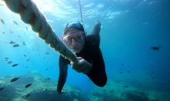 Initiation to freediving by Plongeelibre.com
