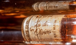 Le jas des oliviers