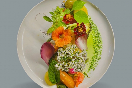 Plat végétarien