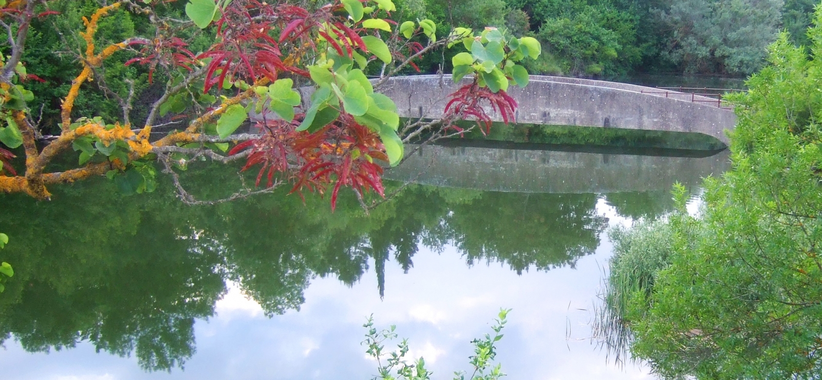 balade nature à Fondurane